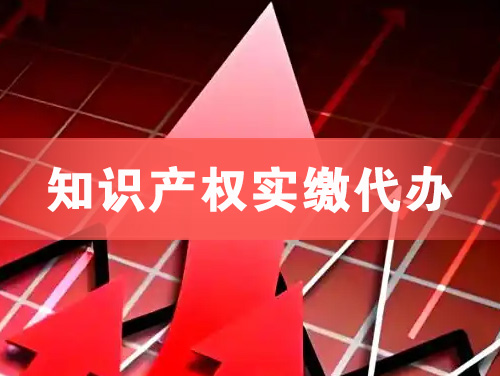 华蓥知识产权实缴资本代办